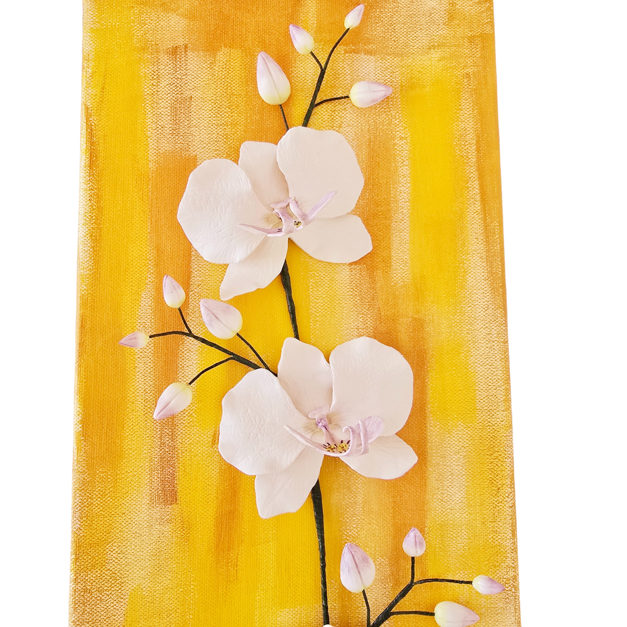 phalaenopsis orchid wall art